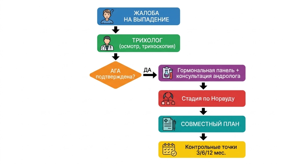 Маршрут пациента: от жалобы к персонализированной терапии