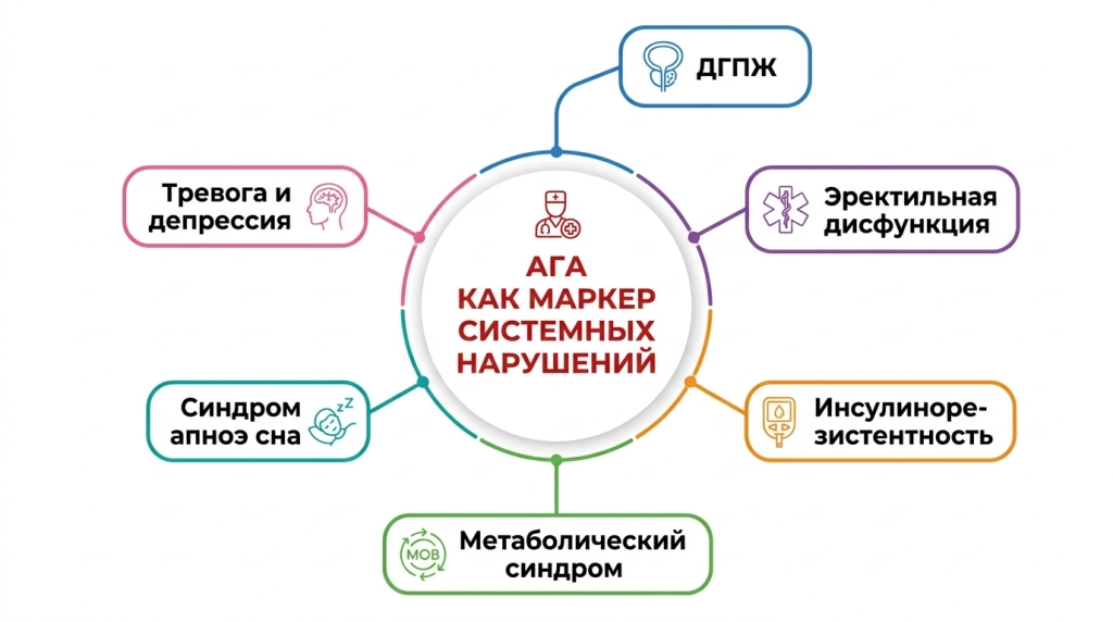 Взаимосвязи андрогенной алопеции с ДГПЖ, ЭД и метаболическим синдромом