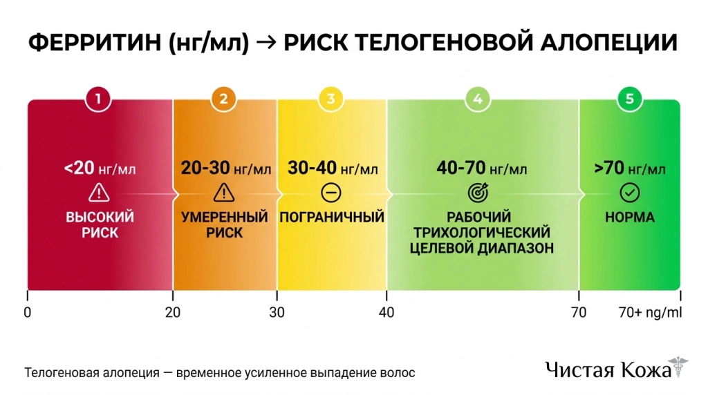 Чем ниже ферритин, тем выше риск диффузного выпадения волос.